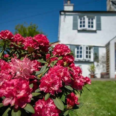 Brentor Self-Catering Apartment Exterior photo