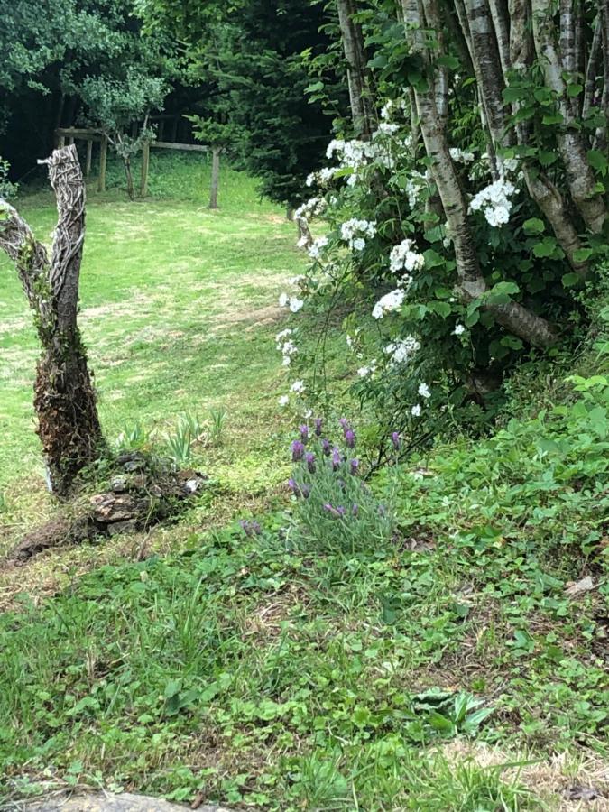 Self-catering * Brentor