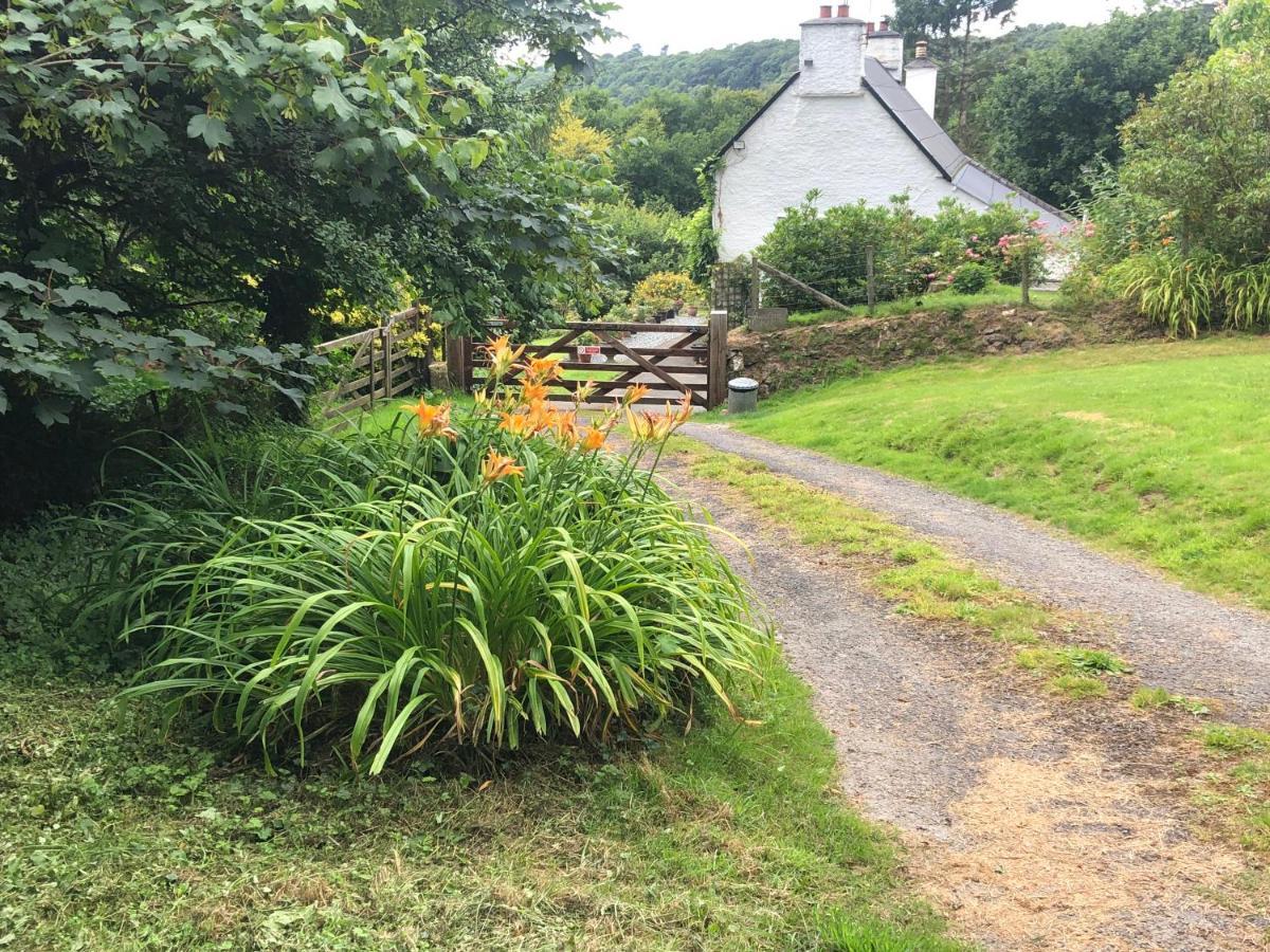Apartment Self-catering Brentor