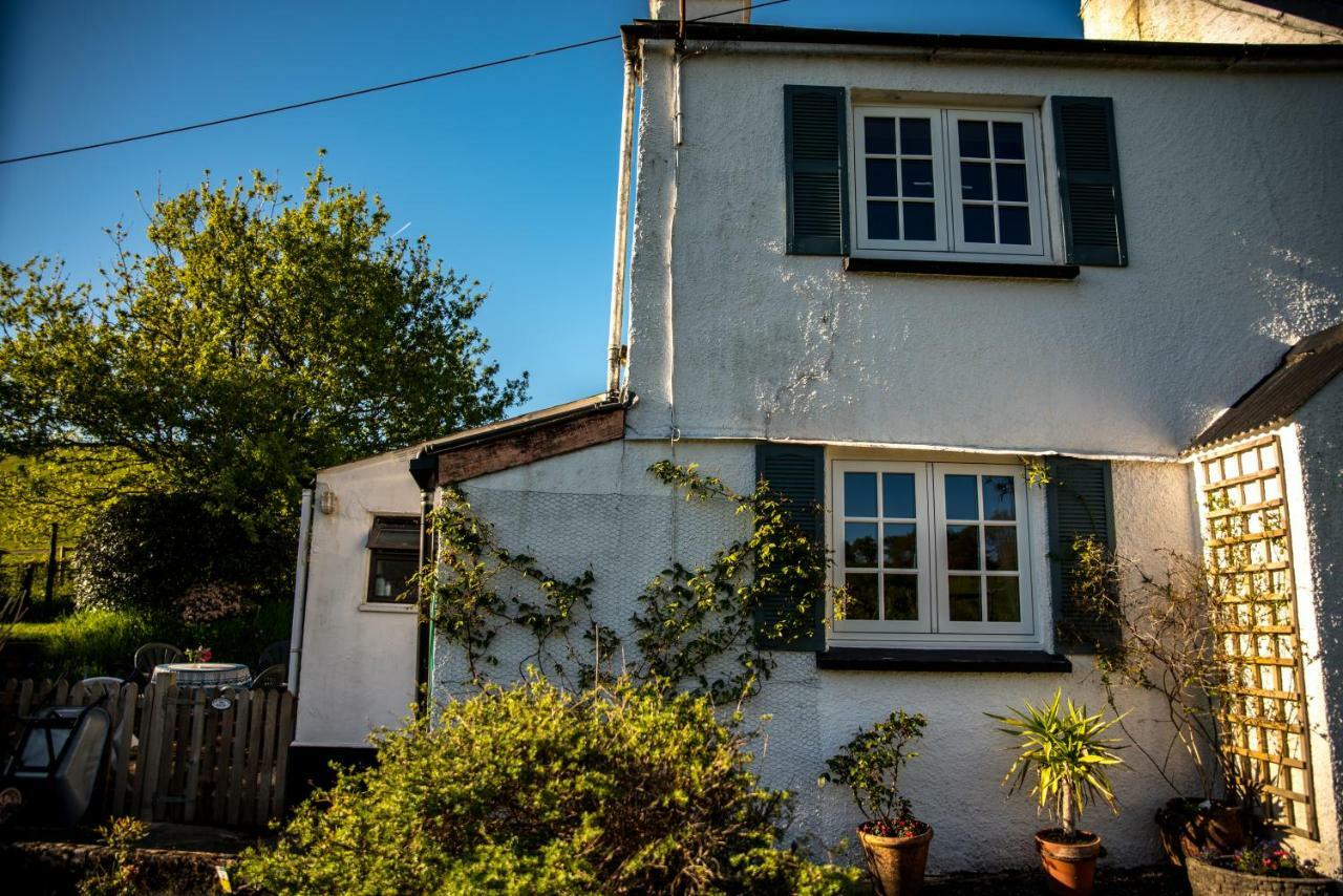 Self-catering Brentor