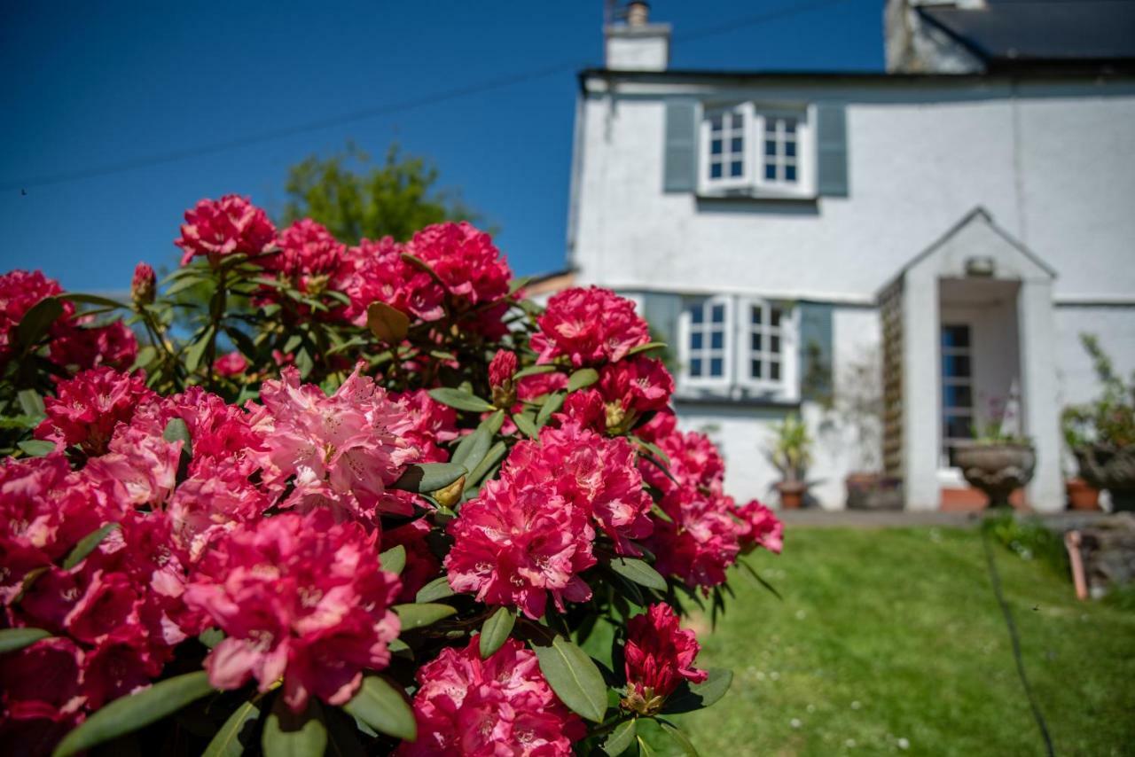 Apartment Self-catering Brentor